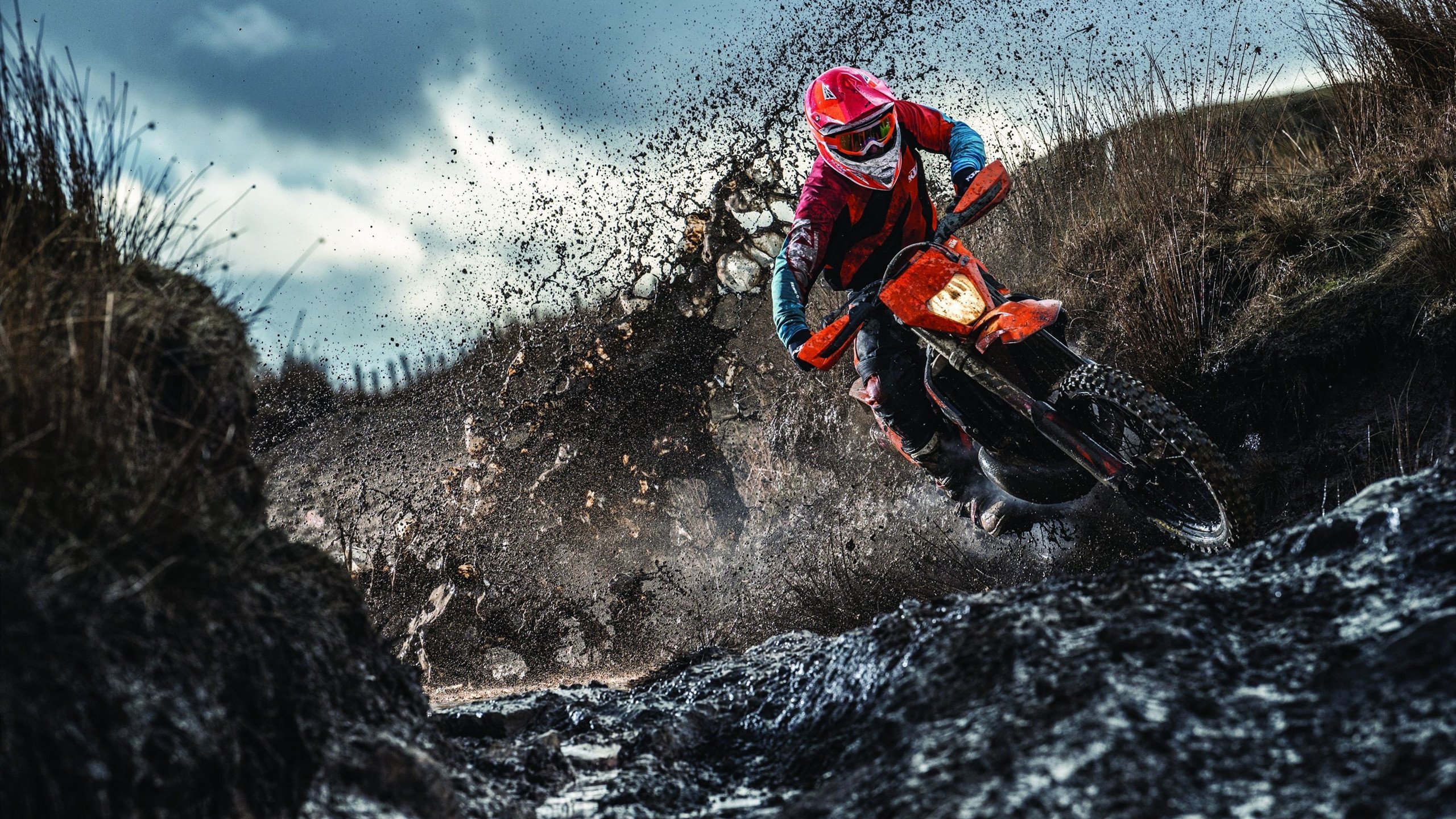 世界杯之夜，厄德高在焦点战中证明自己